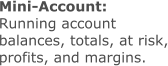 Mini-Account: Running account balances, totals, at risk, profits, and margins.
